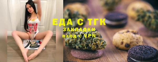 spice Инта