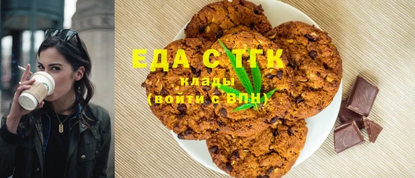 spice Инта