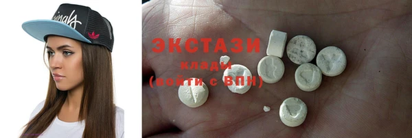 spice Инта
