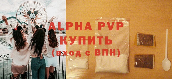 spice Инта