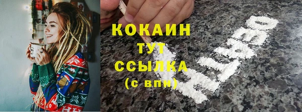 spice Инта