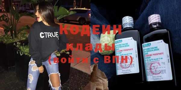 spice Инта