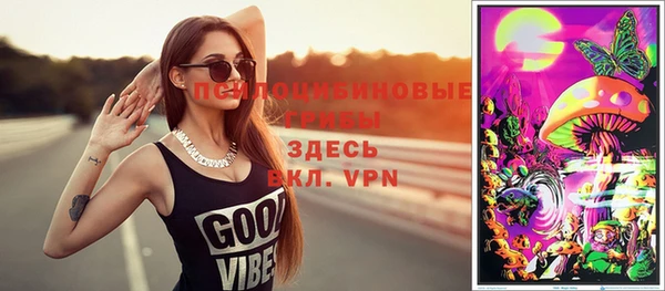 бутират Инсар