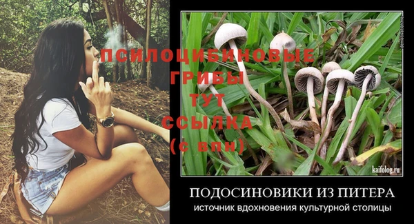 ГАЛЛЮЦИНОГЕННЫЕ ГРИБЫ Зерноград