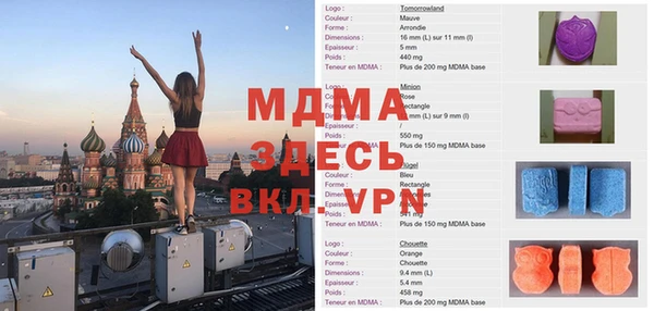 spice Инта