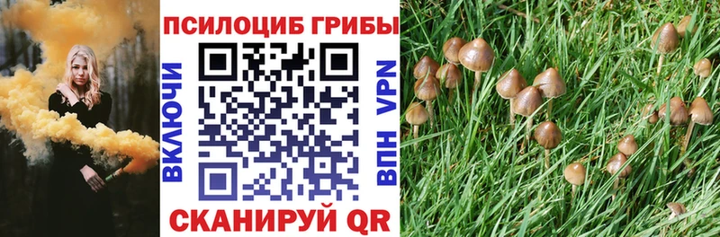 Купить  Краснослободск  Галлюциногенные грибы MAGIC MUSHROOMS 